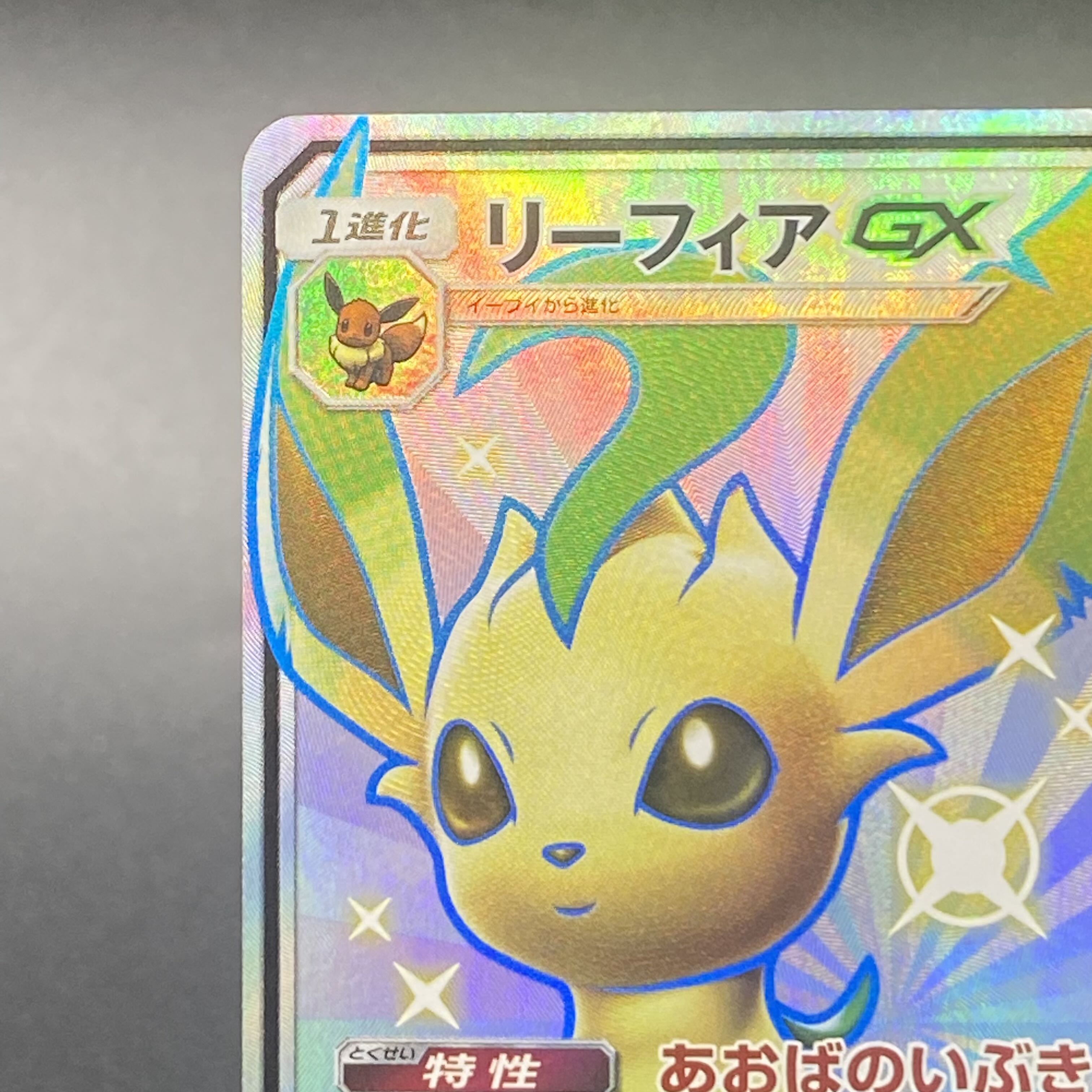 LeafeonGX SSR 206/150