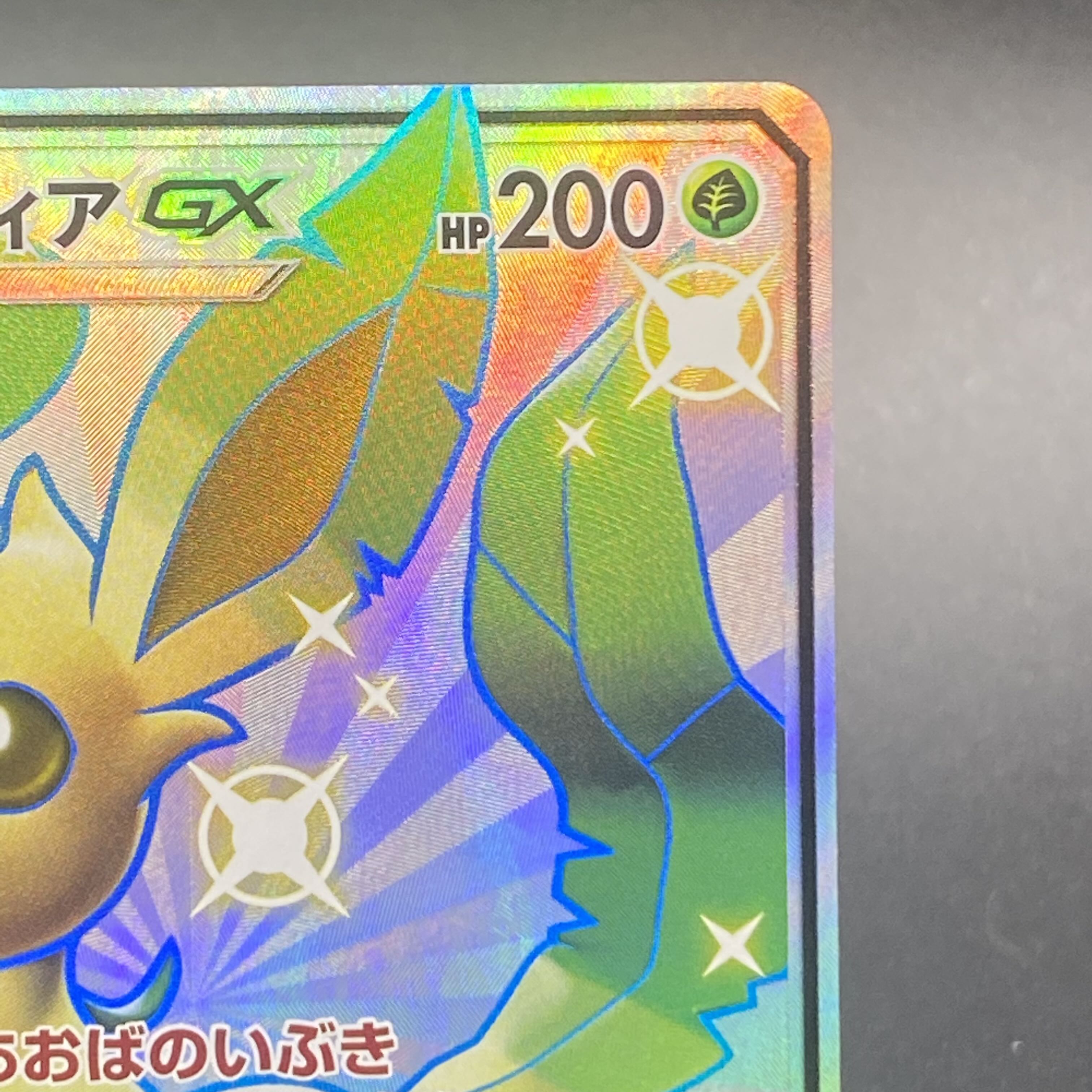 LeafeonGX SSR 206/150