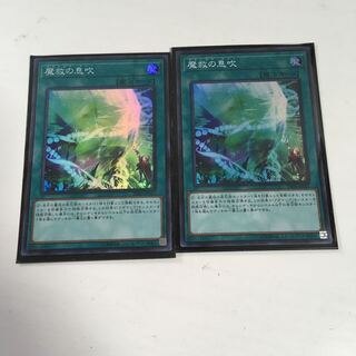 ★アダマシア・サイン　2枚セット★