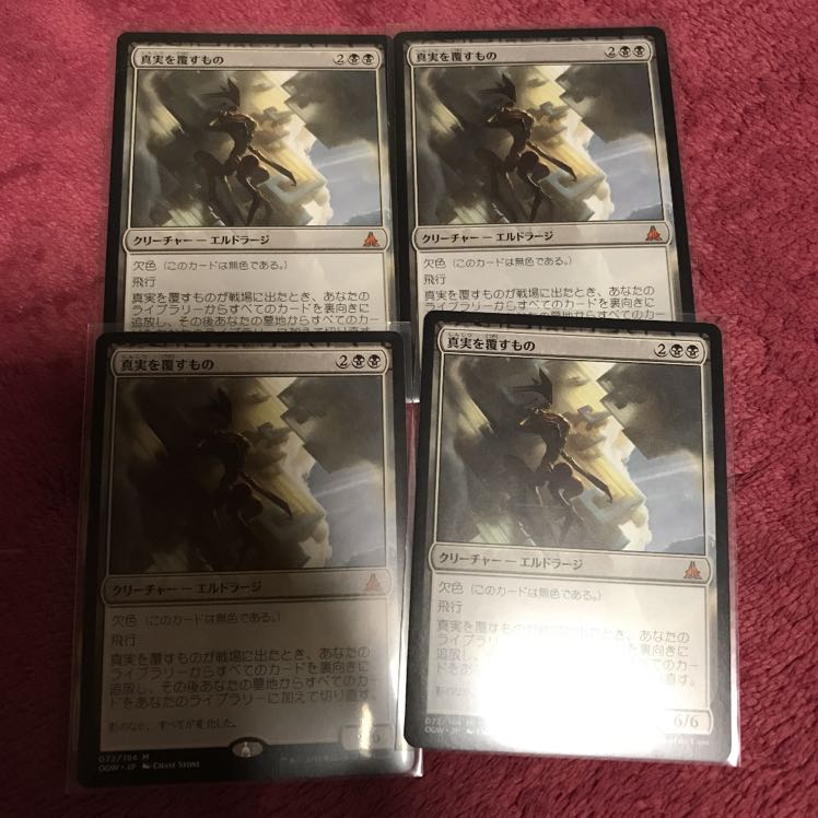 真実を覆すもの 4枚 日本語