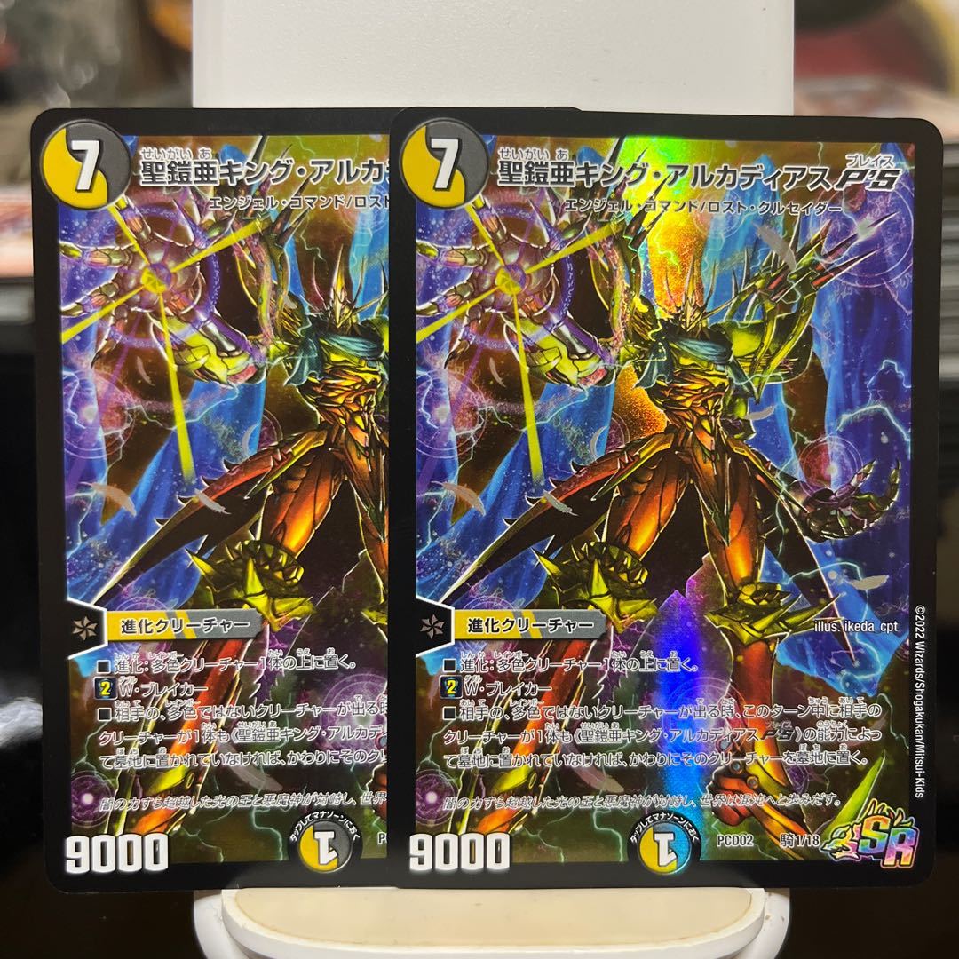 Holy Armor-A King Arcadia P'S