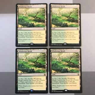 吹きさらしの荒野 KTK 4枚セット