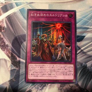 紅き血染めのエルドリクシル