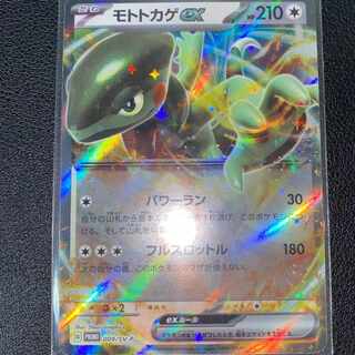 Moto lizard ex promo