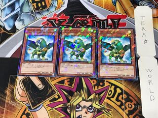 Gusto Griffin DT13 1 Duel Terminal, set of 3 Tera.