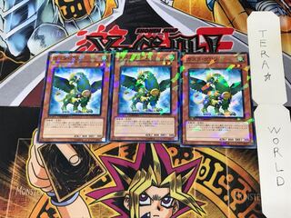 Gusto Griffin DT13 3 Duel Terminal, set of 3 Tera.