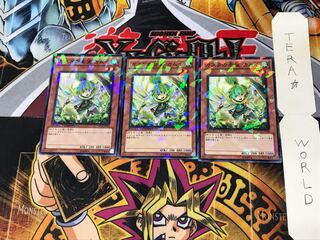 Kamui, Hope of Gusto DT12 2 Dueling Terminals, Set of 3 Tera.