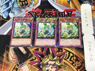 Kamui, Hope of Gusto DT12 4 Dueling Terminals, set of 3, Tera.