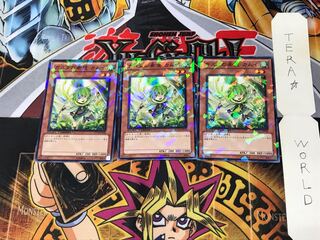 Kamui, Hope of Gusto DT12 5 Dueling Terminals, set of 3, Tera.