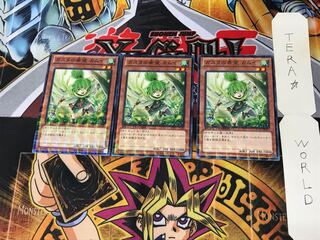 Kamui, Hope of Gusto DTC1 3 Dueling Terminals, set of 3, Tera.