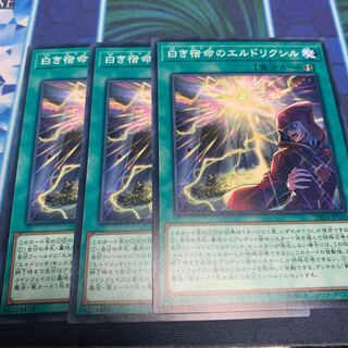 白き宿命のエルドリクシル