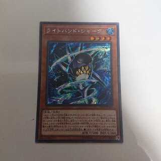 ライトハンドシャーク