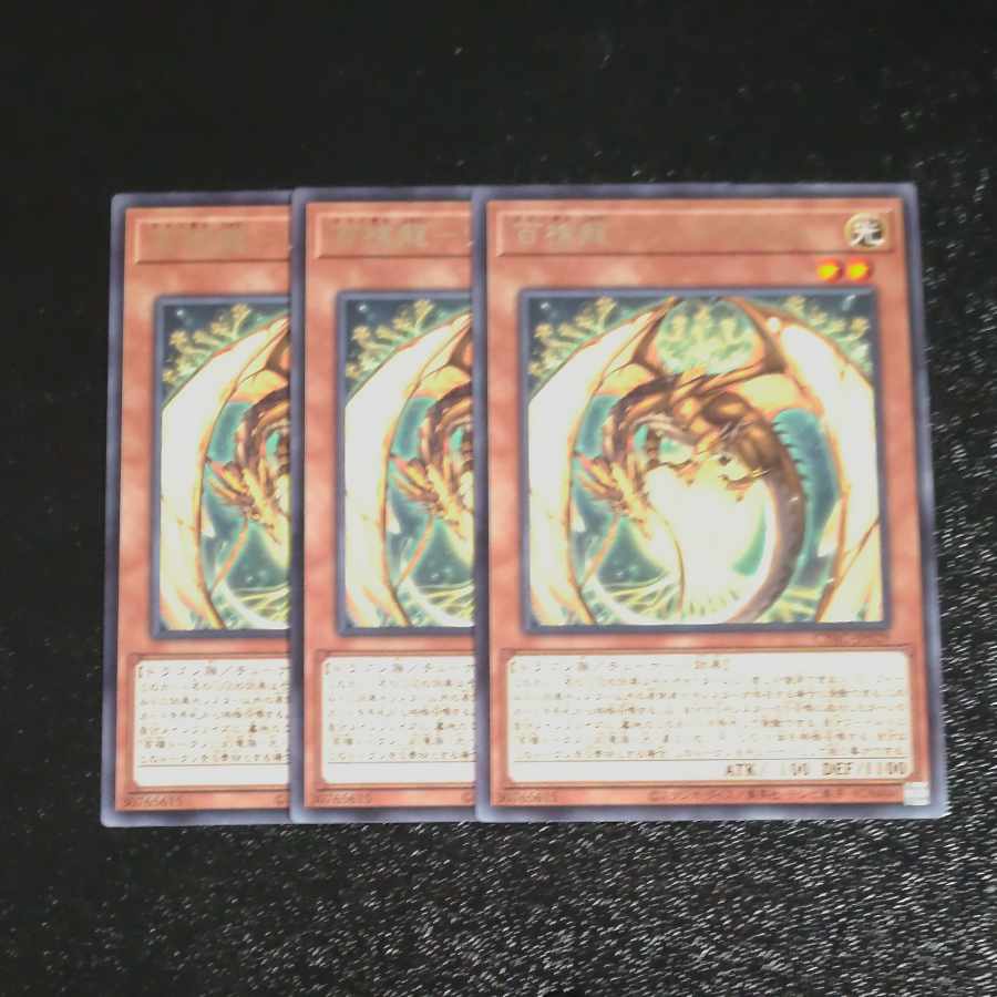 【成約済】百檎龍-リンゴブルム レア JP029✕3　【木林堂】