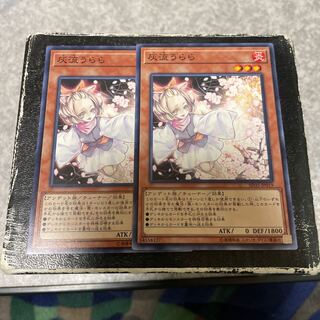 Ash Blossom & Joyous Spring 2 Normal