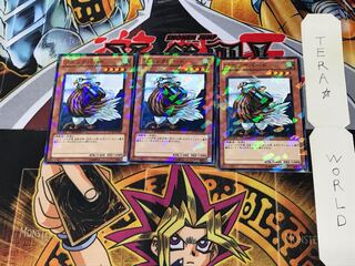 Sonic Bird DT10 5 Duel Terminal, set of 3, Tera.