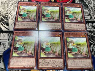 苗と霞の春化精 ノーマル JP026 6枚セット