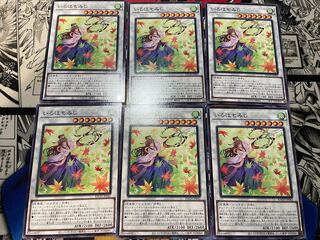 Iroha Momiji Normal JP042 6-card set