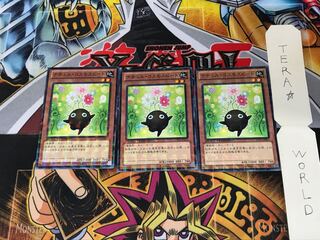 Naturia Cosmobeet DTC2 1 Duel Terminal, Set of 3 Tera.