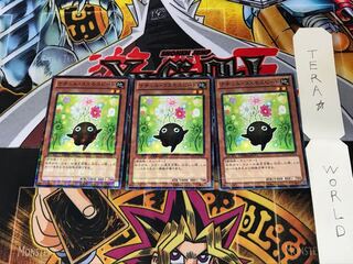 Naturia Cosmobeet DTC2 3 Duel Terminals, Set of 3 Tera