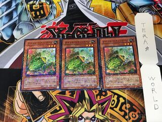 Naturia Stinkbug DT08 1 Duel Terminal, Set of 3 Tera.