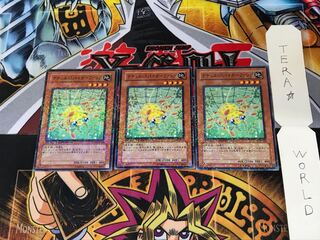 ナチュル・スパイダーファング DT04 1 デュエルターミナル 3枚セット てら