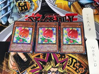 Naturia Tulip DT05 1 Duel Terminal, Set of 3 Tera