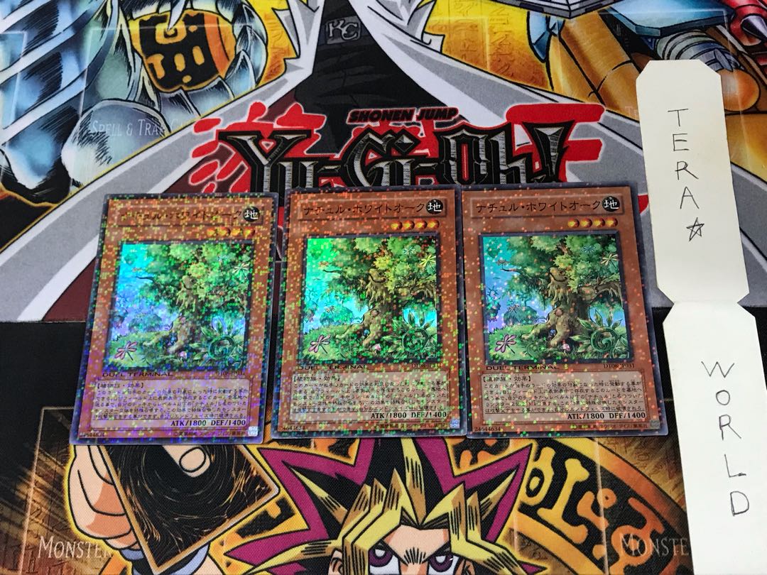 Naturia White Oak DT08 1 Duel Terminal, Set of 3 Tera