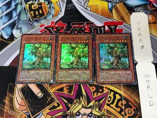 Naturia White Oak DT08 3 Duel Terminal, Set of 3 Tera