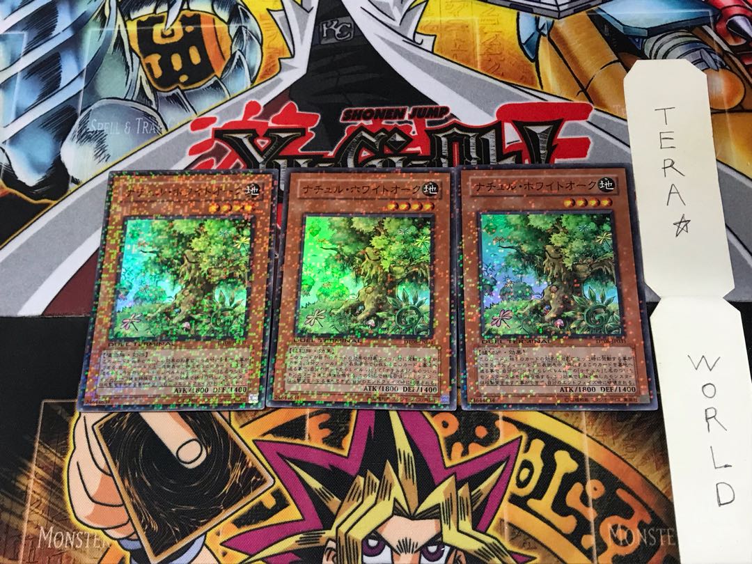 ナチュル・ホワイトオーク DT08 4 デュエルターミナル 3枚セット てら