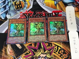 Naturia White Oak DT08 5 Duel Terminal, Set of 3 Tera