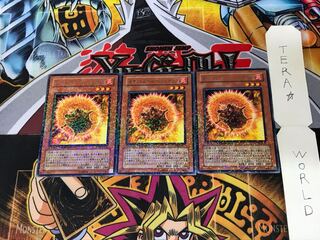 ネオフレムベル・ヘッジホッグ DT08 2 デュエルターミナル 3枚セット てら