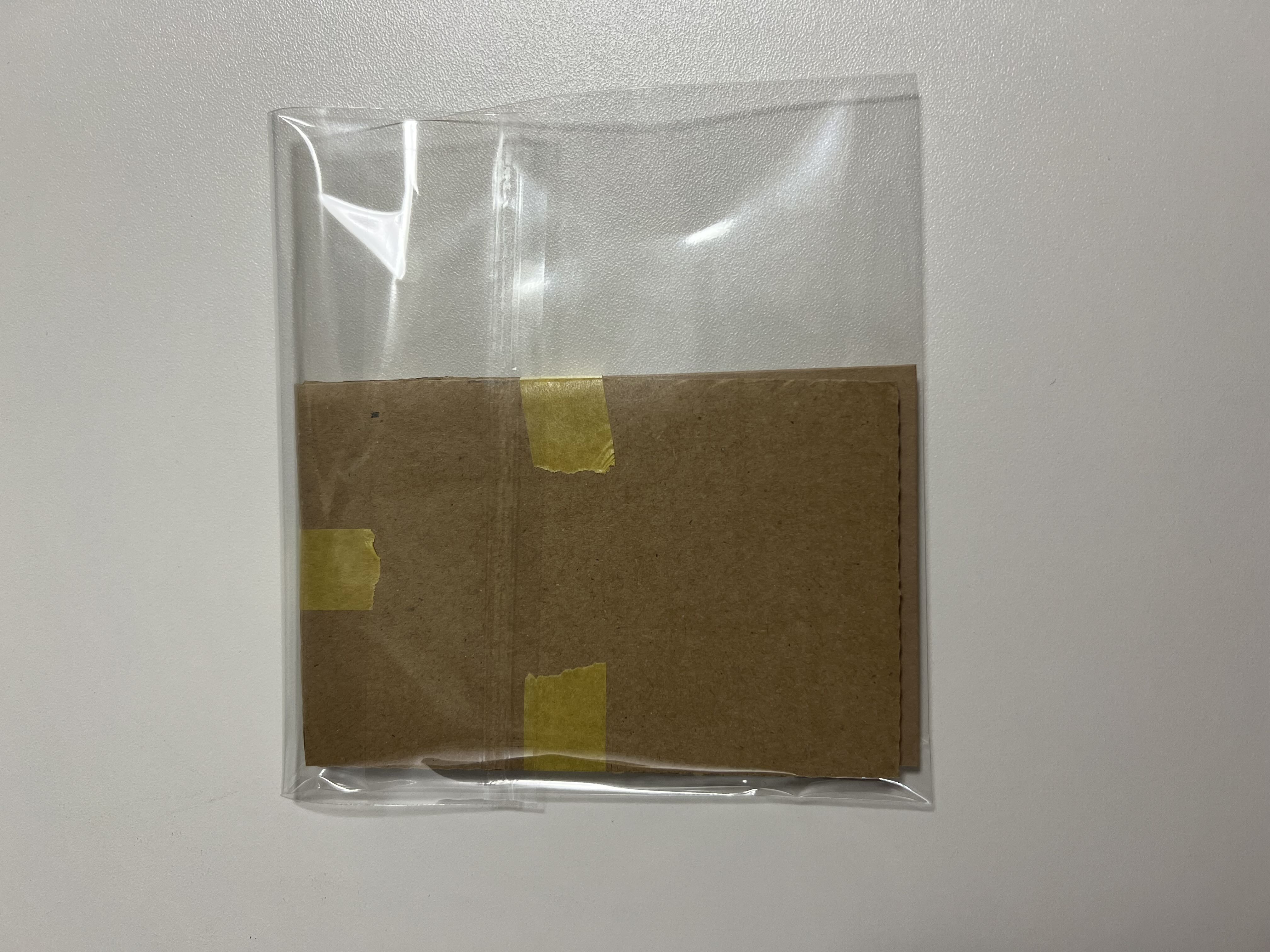 ワンピースカードゾロリーダー