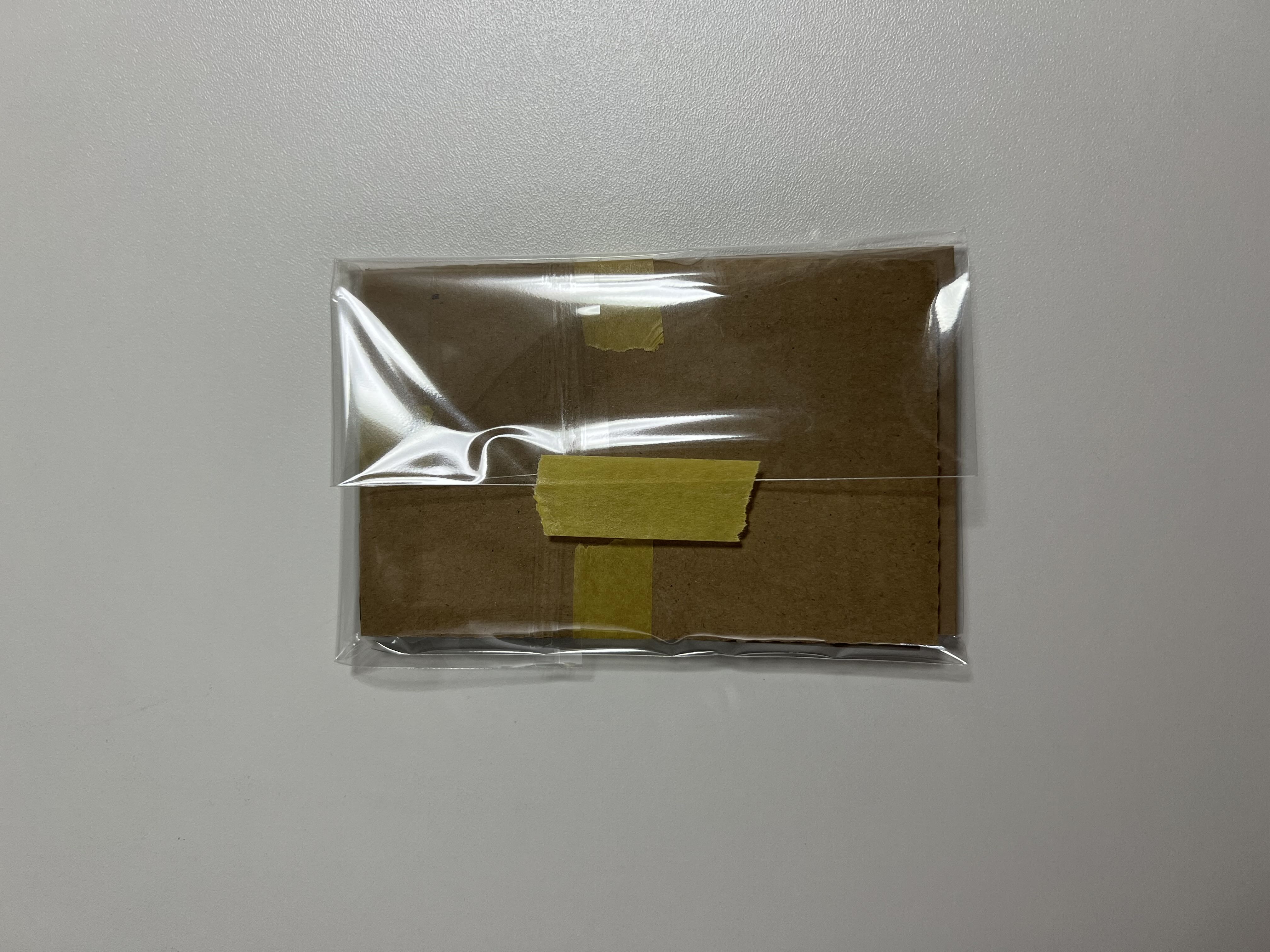 ワンピースカードゾロリーダー