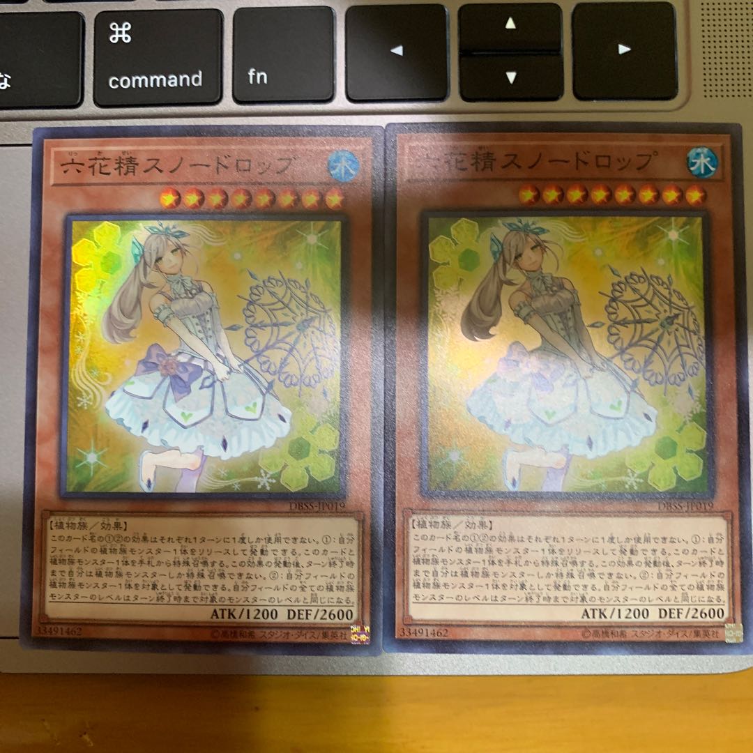 DBSS 立花精スノードロップ2枚セット