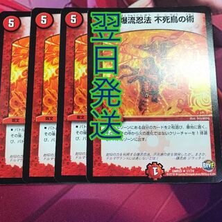 爆流忍法 不死鳥の術