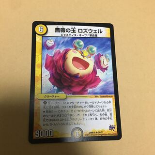 薔薇の玉　ロズウェル