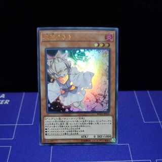Ash Blossom & Joyous Spring Ultra Rare