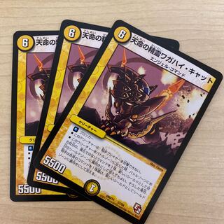 天命の精霊ワガハイ・キャット