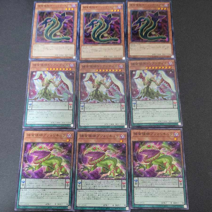 Predaplant Darlingtonia Cobra x 3 Prey Upon Plant Triantis x 3 Prey Upon Plant Bufolicula x 3