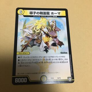 導子の精霊龍　ホーマ