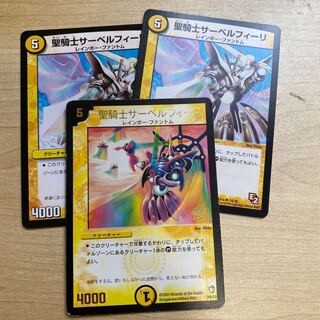 Saint Knight Sir Bianca Fili