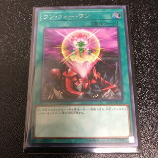 【adonis様専用】ワン・フォー・ワン　シク