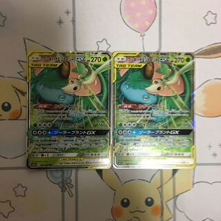 フシギバナ＆ツタージャ