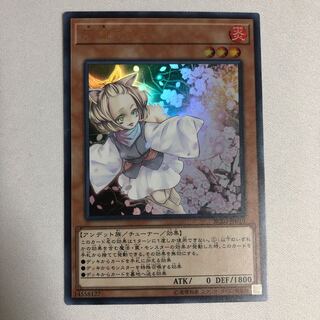 灰流うらら/ウルトラ