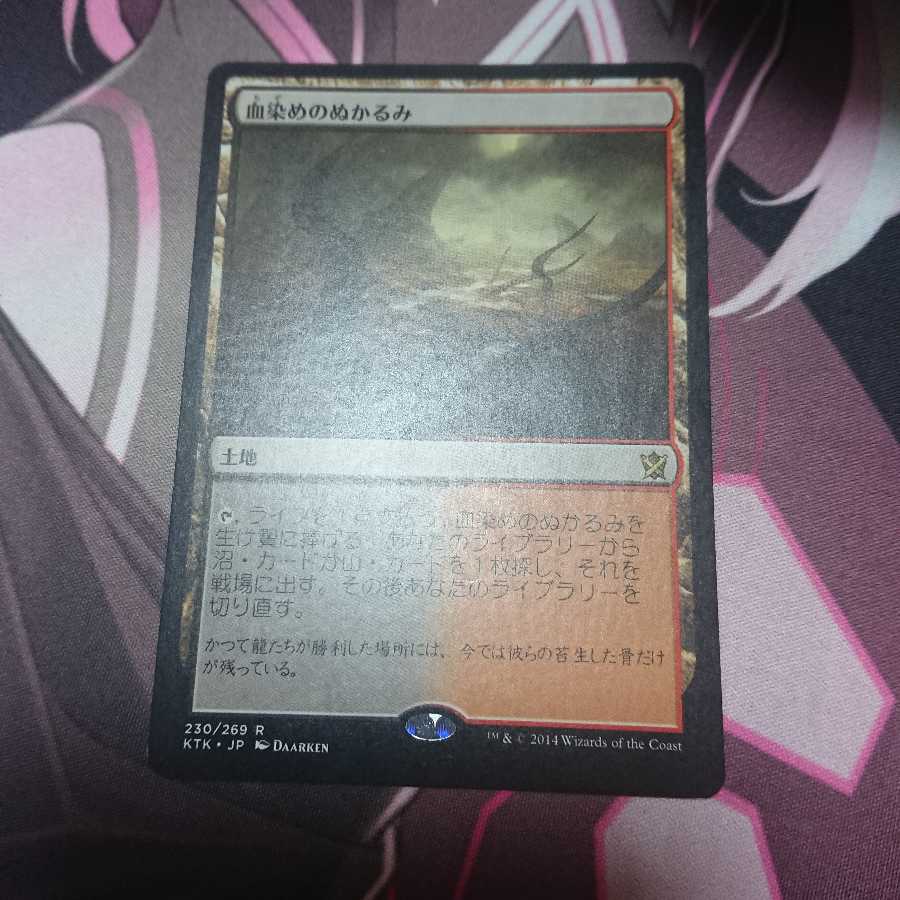 血染めのぬかるみ