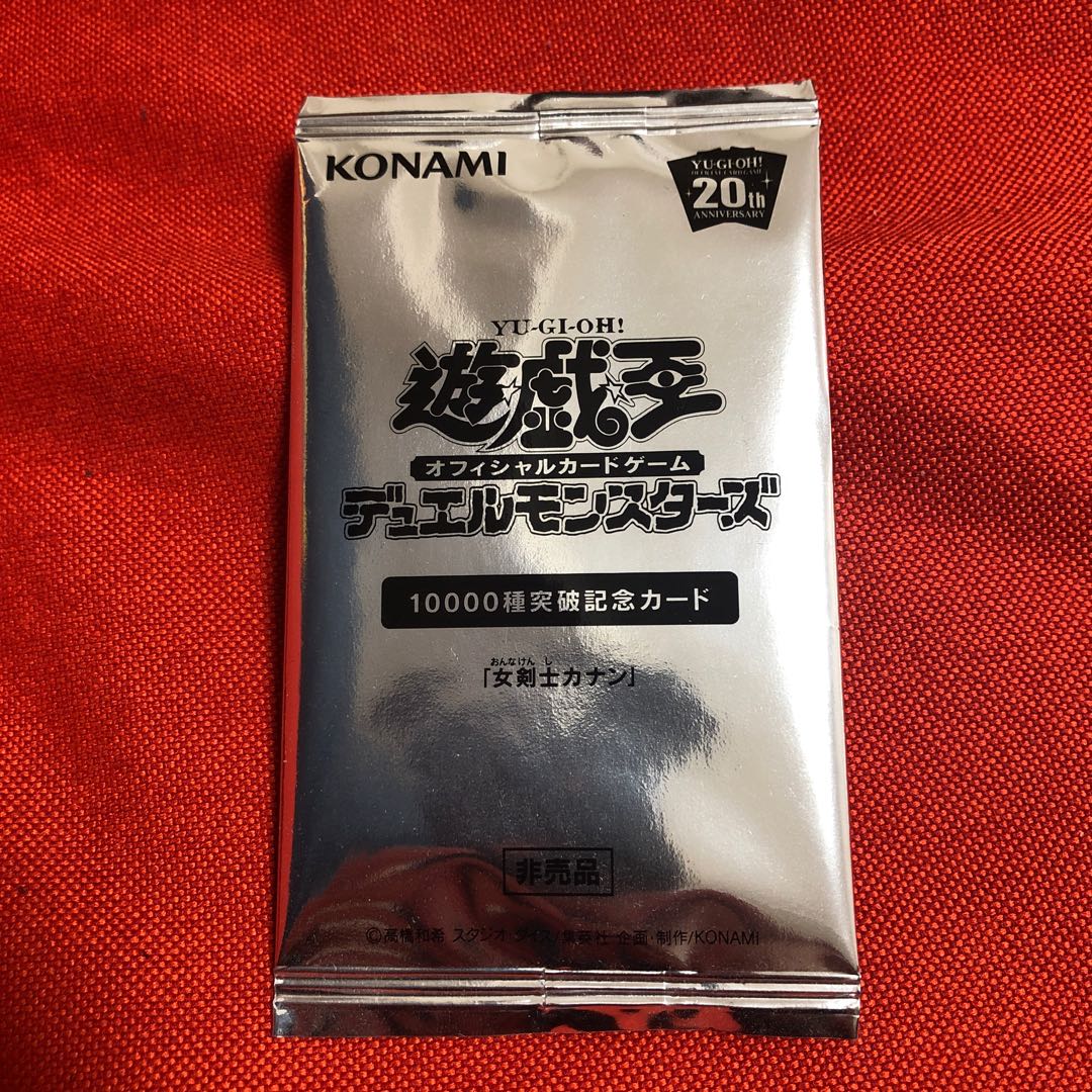 女剣士カナン　未開封