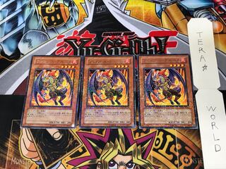 Flamvell Grunika DT03 2 Duel Terminal, set of 3 Tera.