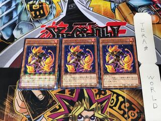 Flamvell Poun DTC1 2 Duel Terminal Set of 3 Tera