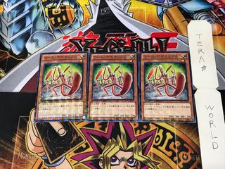 ワーム・アポカリプス DTC1 1 デュエルターミナル 3枚セット てら