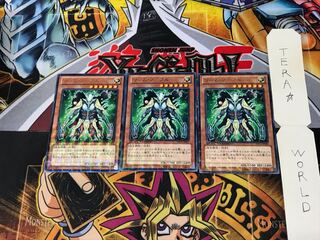 ワーム・ノーブル DTC1 1 デュエルターミナル 3枚セット てら